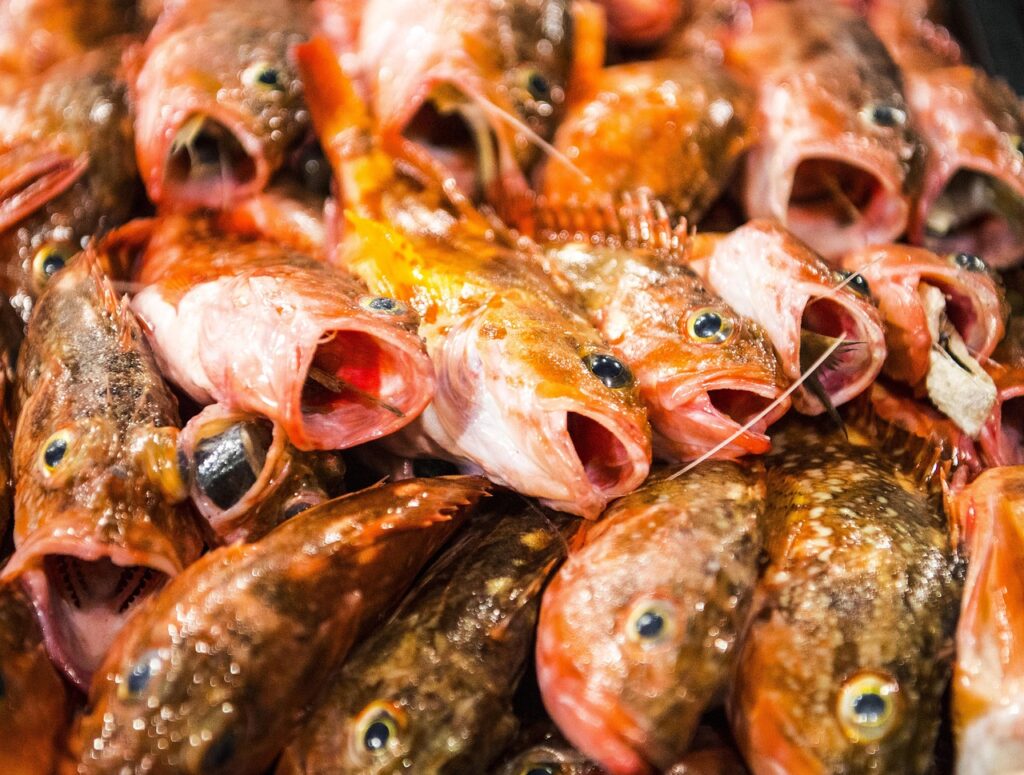 薄毛初期における自毛植毛の効果とは？