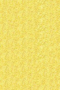 植毛の効果を実感するための方法とは？