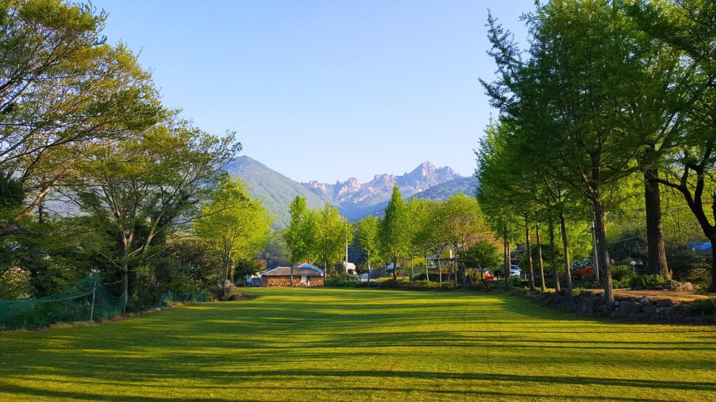 自毛植毛後2ヶ月での経過や効果はどうなっているの？