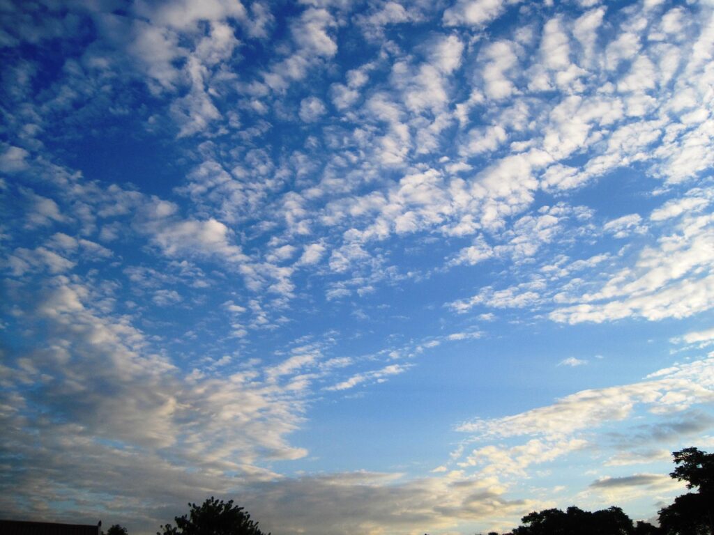 植毛後2週間で抜けるのは正常？その理由と対策は？