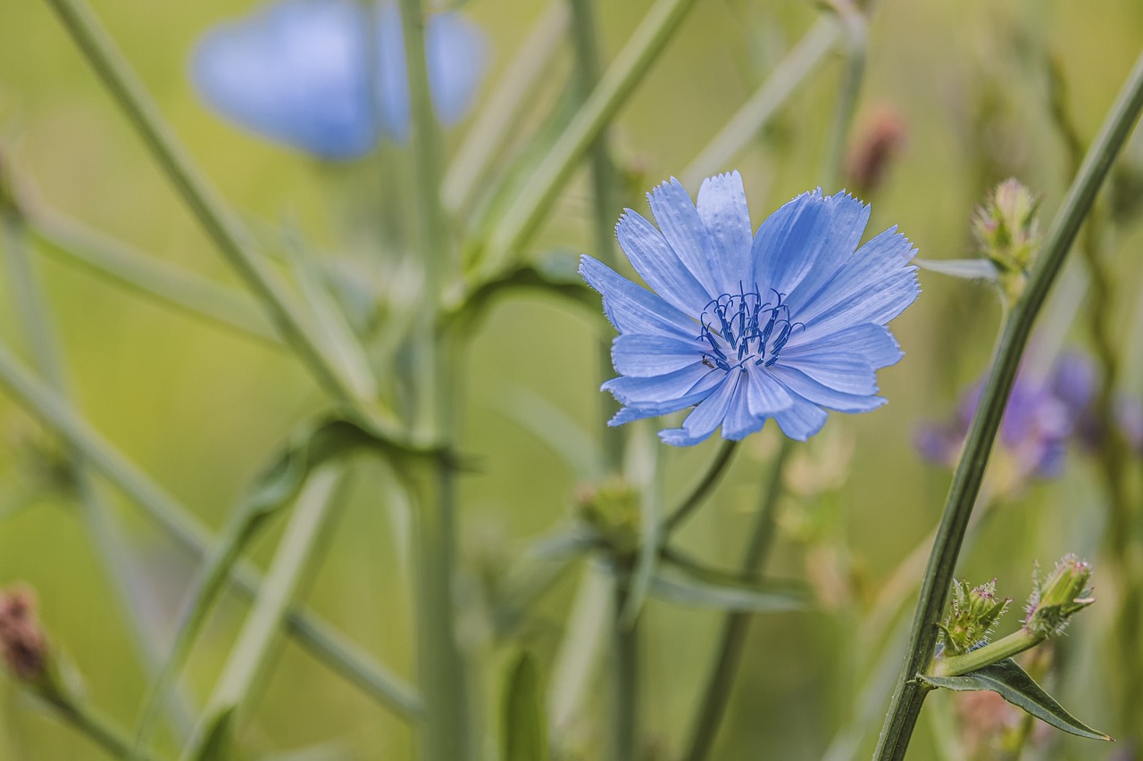 植毛が定着しなかった理由とその対策は？