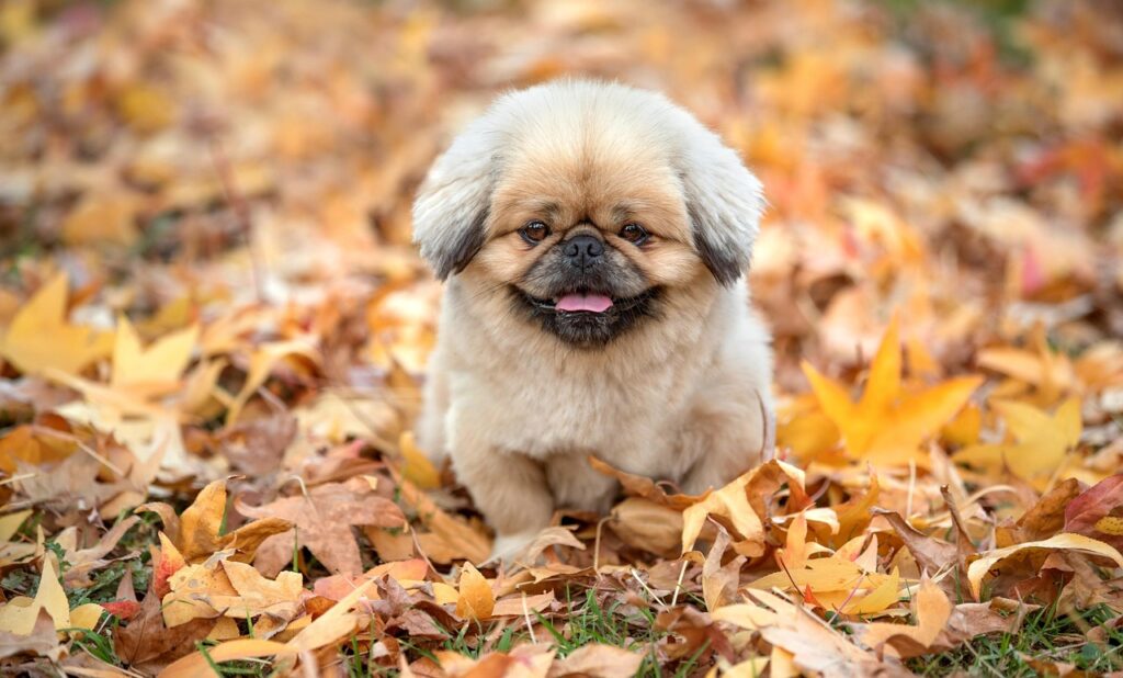 植毛後に毛が抜ける原因と対策は？