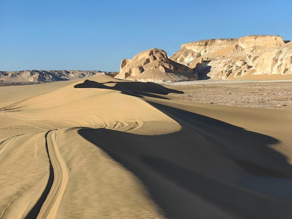 植毛跡のケア方法とおすすめアイテムは？