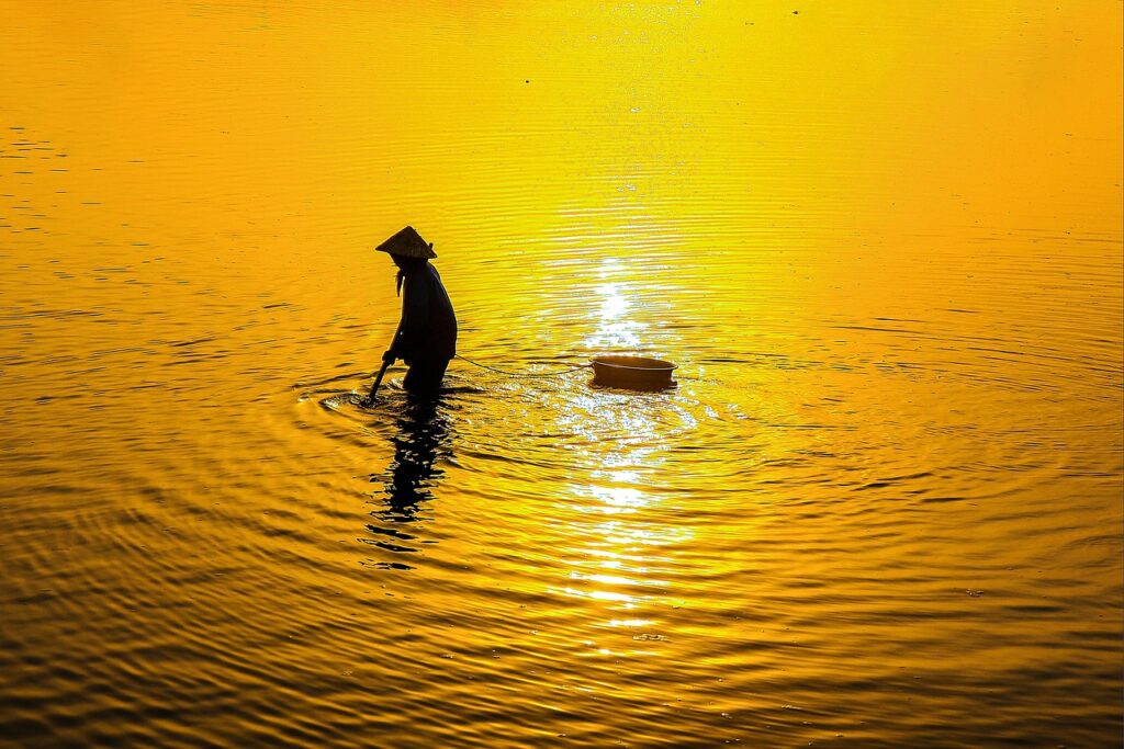 自毛植毛と人工毛の違いについて詳しく解説しますか？
