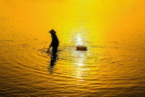 自毛植毛の中国における評判はどうなっているの？