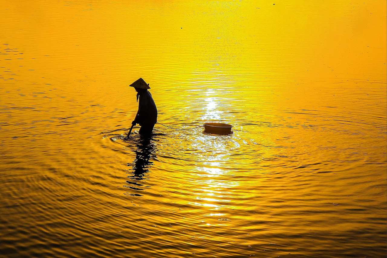 自毛植毛をインドで安く受けるためのポイントは？