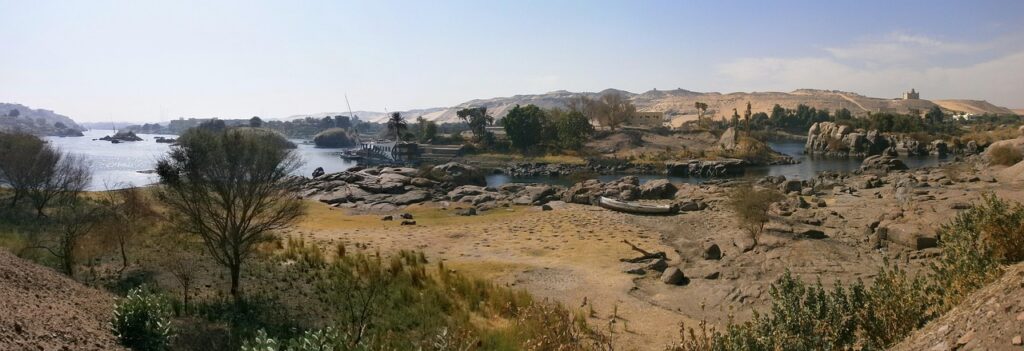 自毛植毛でAGAが止まらない理由と対策は？