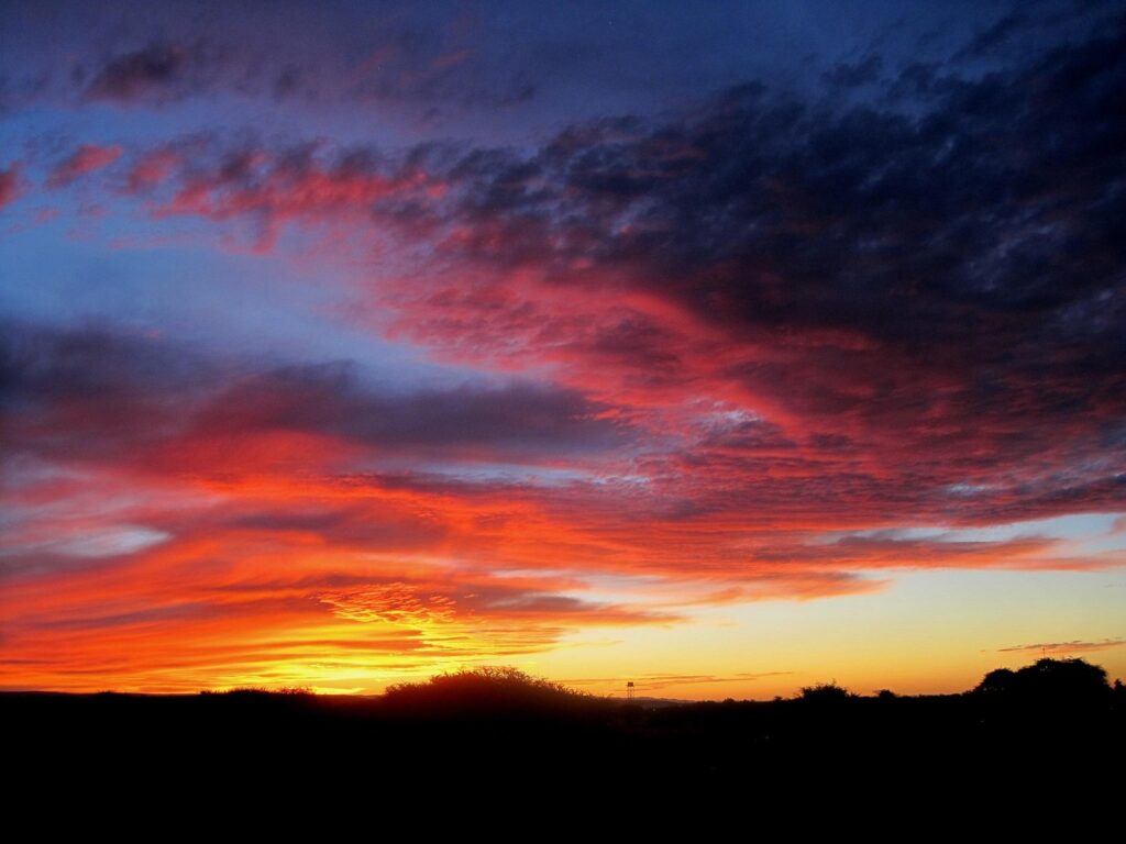 自毛植毛と他の植毛の違いは何ですか？
