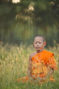 自毛植毛の株数の決め方は初心者にとってどうすればいい？