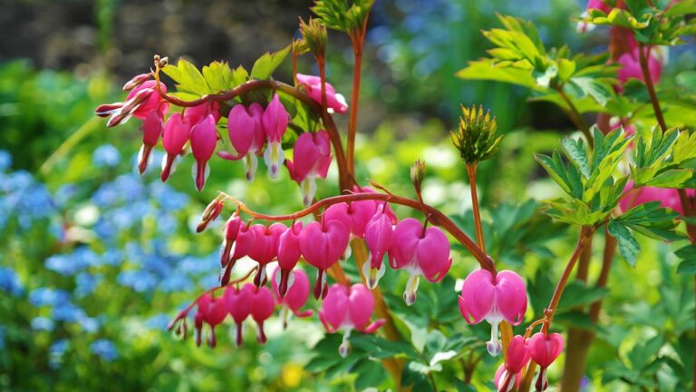 自毛植毛の術後に出血があった場合は大丈夫なの？