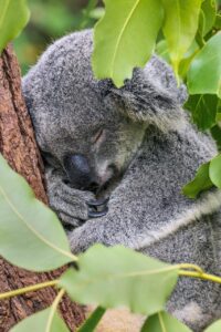 自毛植毛術後の寝方で注意すべきポイントは？