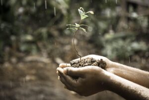 自毛植毛に向いていない人の特徴とは？